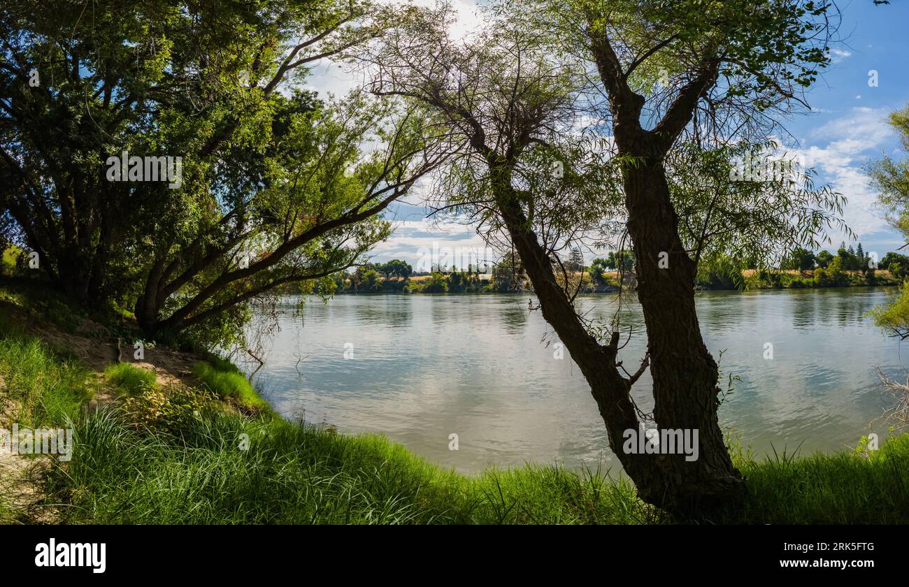 Lush grass and trees hi-res stock photography and images - Alamy