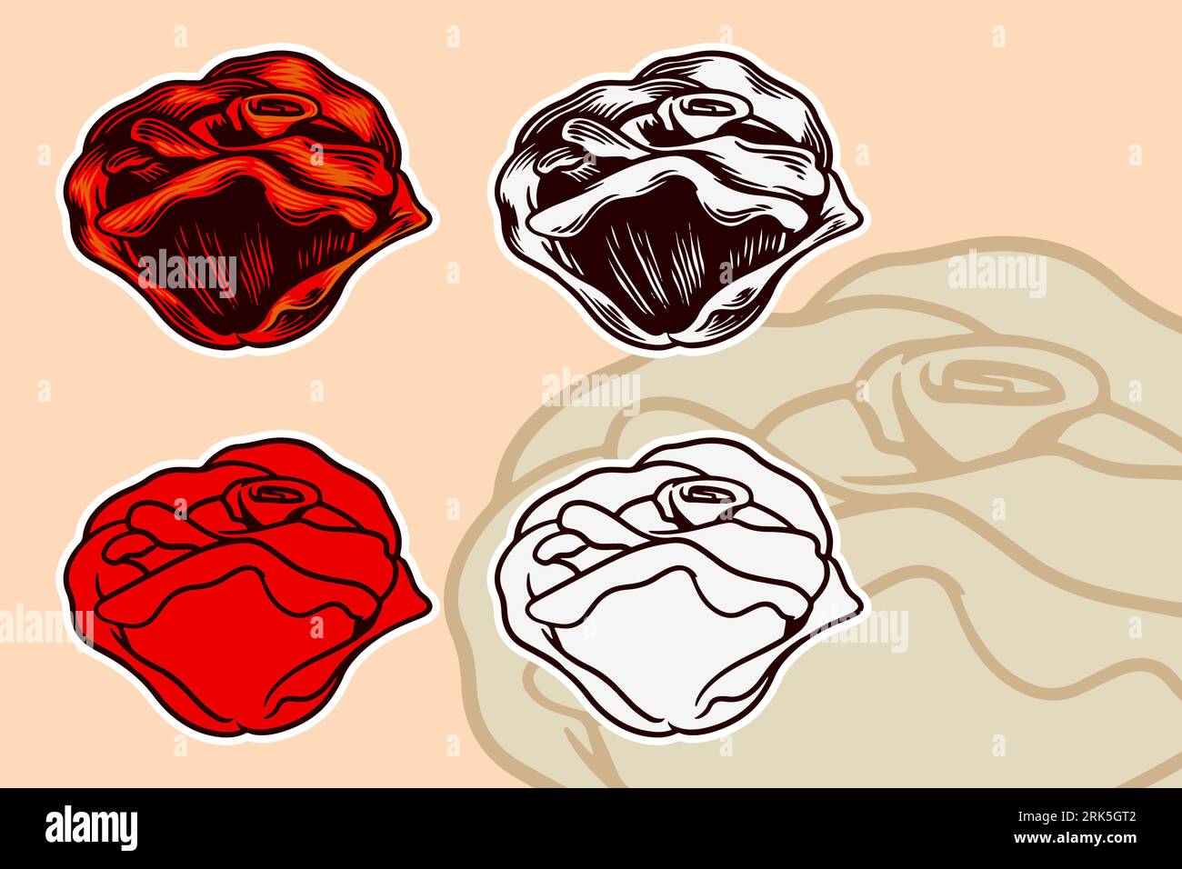 Rose flower vector illustration set Stock Vector
