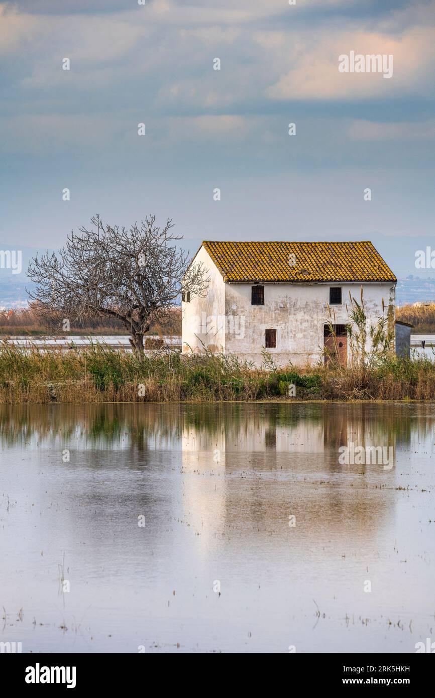 Scenic view of Albufera Natural Park, Valencia, Spain Stock Photo