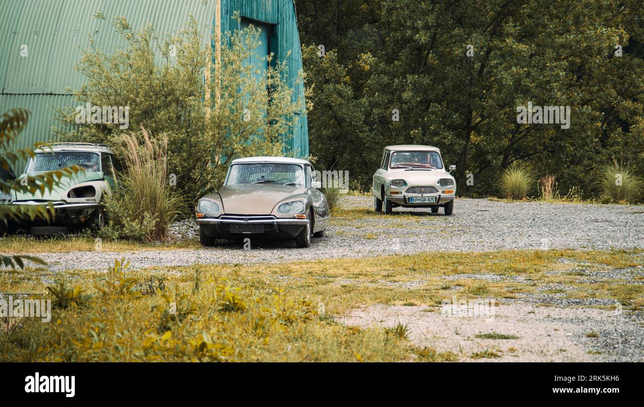A junkyard containing a variety of dilapidated automobiles, including several Citroen models Stock Photo