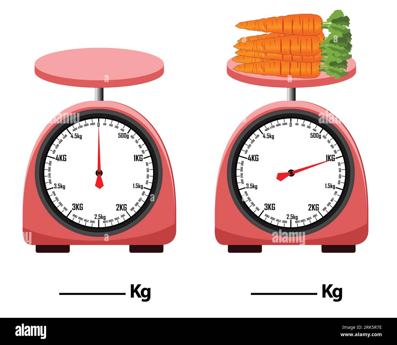 https://c8.alamy.com/comp/2RK5R7E/analog-scale-carrot-weight-scale-isolated-on-white-background-simple-kitchen-scale-vector-illustration-measuring-analog-scale-clip-art-2RK5R7E.jpg