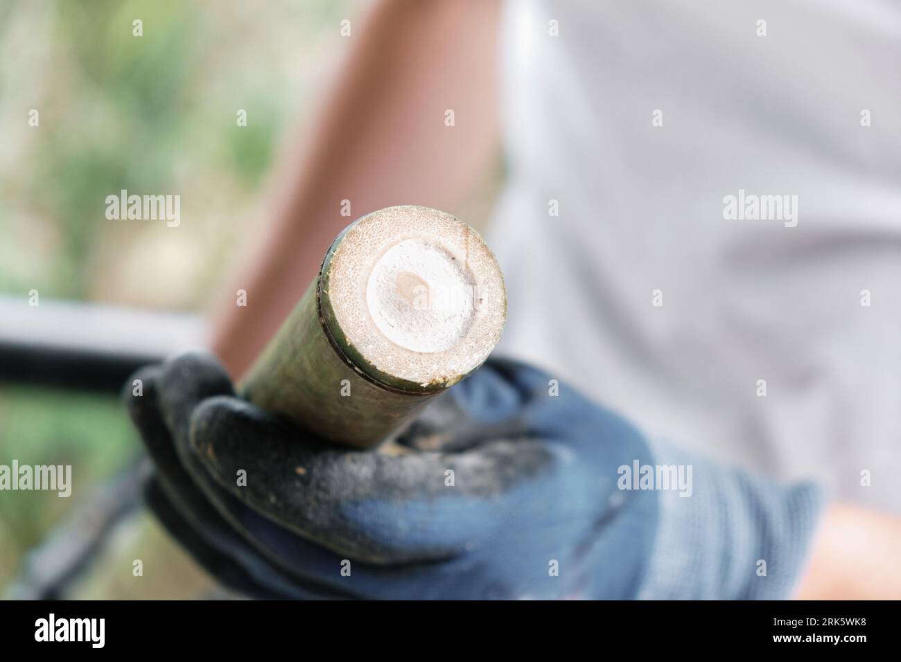Gloved hands of an unrecognizable man holding a bamboo stick in foreground with bokeh background. Stock Photo