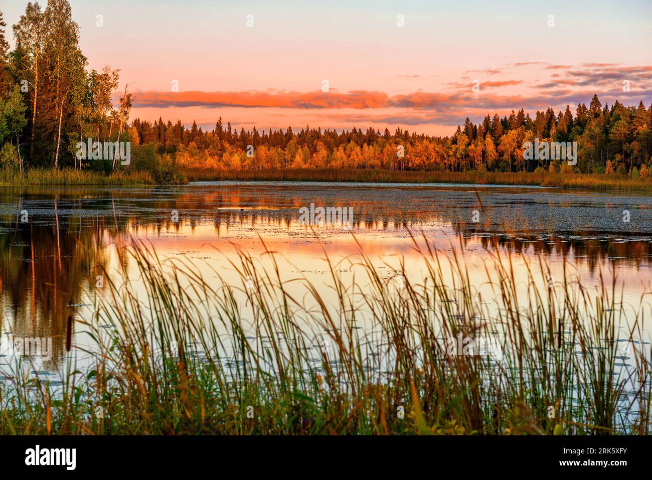 Mirror lake surrounded trees hi-res stock photography and images - Alamy