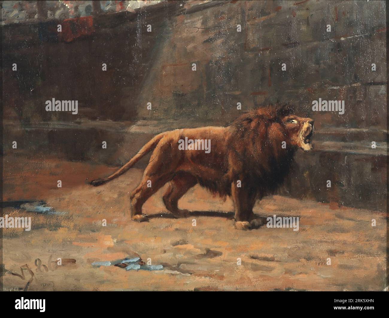 A roaring lion hi-res stock photography and images - Alamy