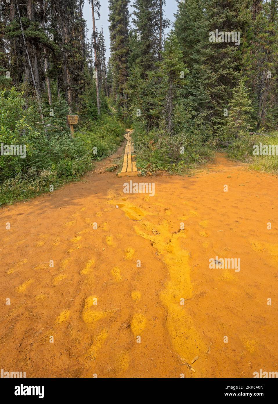 The site of an abandoned ochre mine resulting in stained ground and boardwalk in Kootenay National Park, British Columbia, Canada Stock Photo
