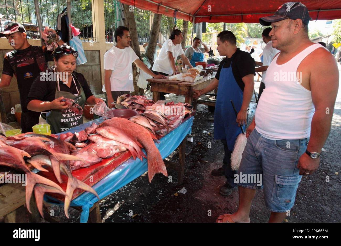 Bildnummer: 53804629  Datum: 17.02.2010  Copyright: imago/Xinhua (100218) -- MANAGUA, Feb. 18, 2010 (Xinhua) -- Citizens buy seafood at a traditional seafood market in Managua, capital of Nicaragua, Feb. 17, 2010. (Xinhua/Jairo Cajina) (cy) (3)NICARAGUA-MANAGUA-SEAFOOD-MARKET PUBLICATIONxNOTxINxCHN kbdig xmk 2010 quer o0 Markt Marktstand Fischstand Fisch    Bildnummer 53804629 Date 17 02 2010 Copyright Imago XINHUA  Managua Feb 18 2010 XINHUA Citizens Buy Seafood AT a Traditional Seafood Market in Managua Capital of Nicaragua Feb 17 2010 XINHUA Jairo Cajina Cy 3 Nicaragua Managua Seafood Marke Stock Photo