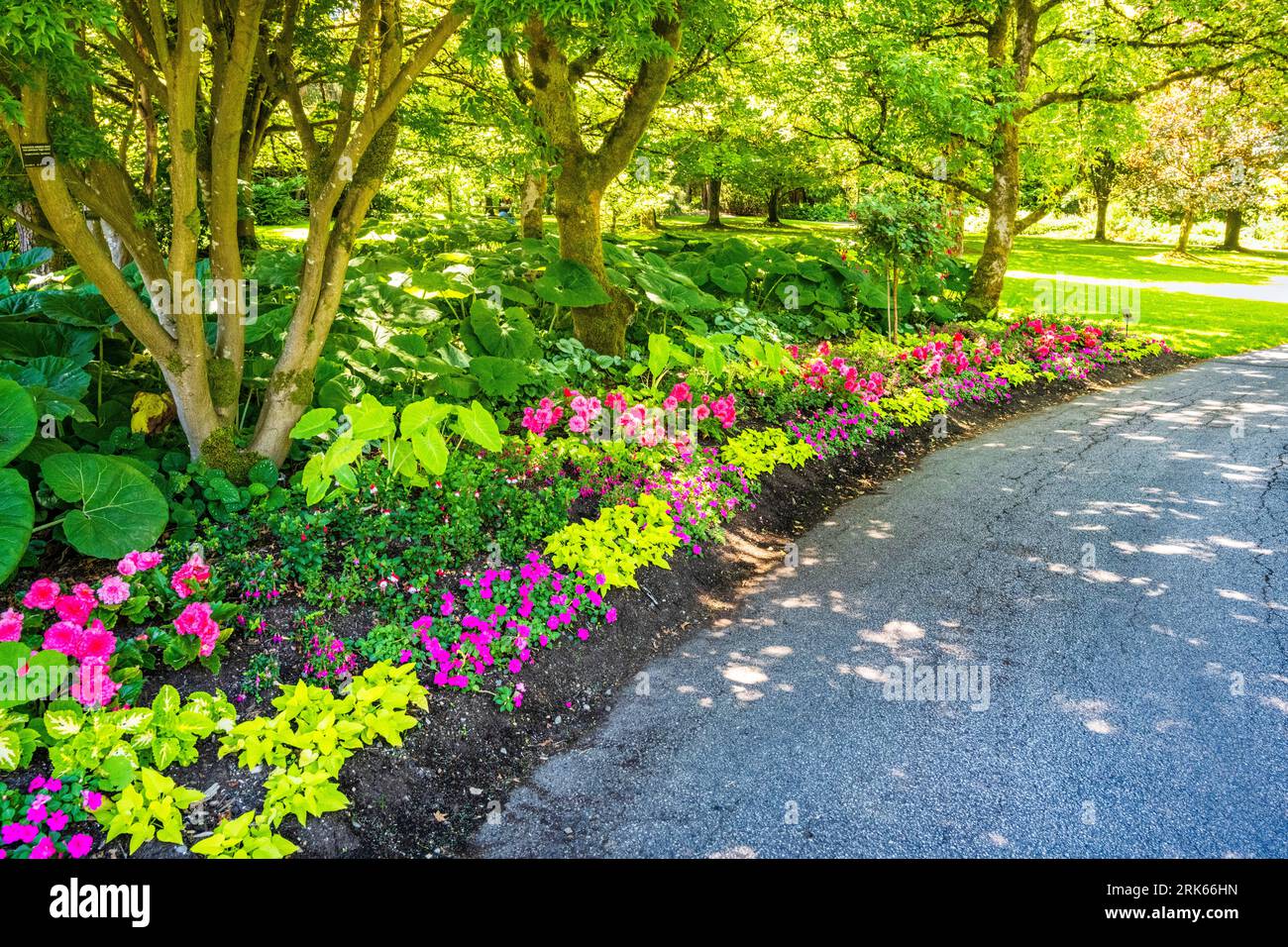 Flower beds at VanDusen Horticultural Garden, Vancouver, BC, Canada. Stock Photo