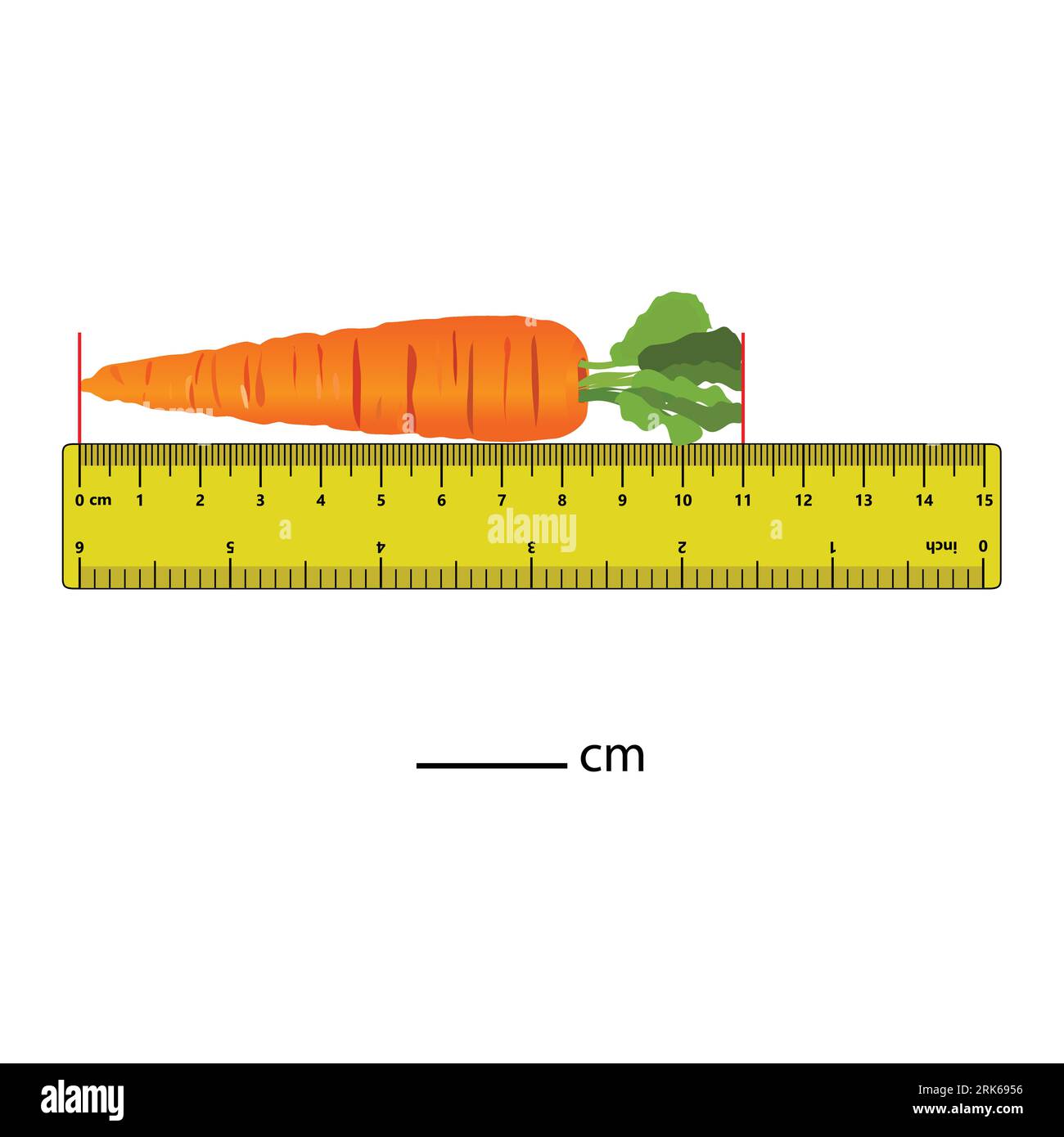 Measuring length in centimeters with the ruler. Education developing worksheet. Game for kids. Puzzle for children. Vector illustration. cartoon style Stock Vector