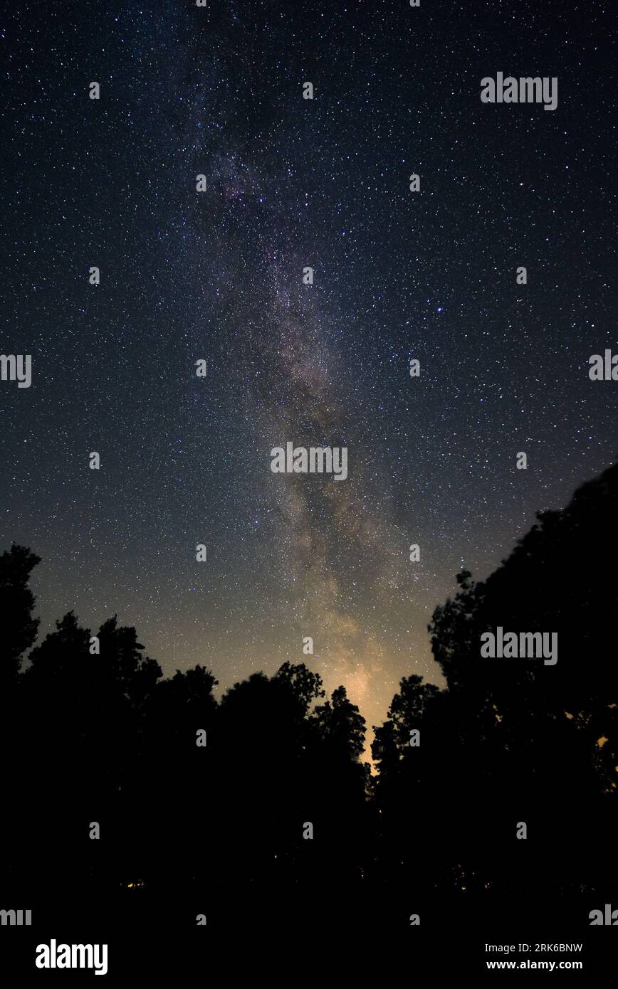 A beautiful night sky featuring a vast array of stars twinkling above a ...