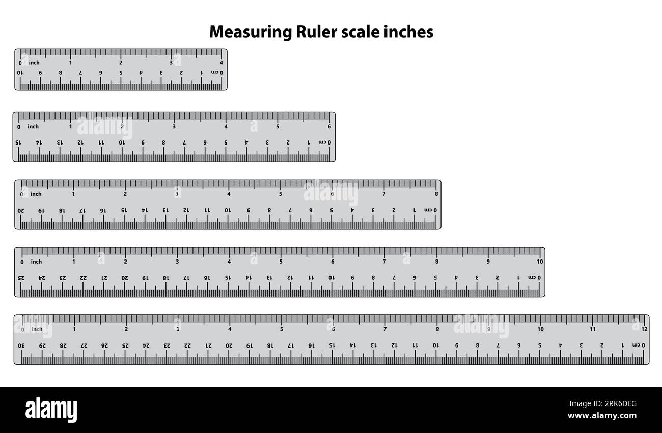 inch and metric rulers. Centimeters and inches measuring scale cm metrics indicator. Inch and metric rulers. Centimeters and inches measuring scale cm Stock Vector