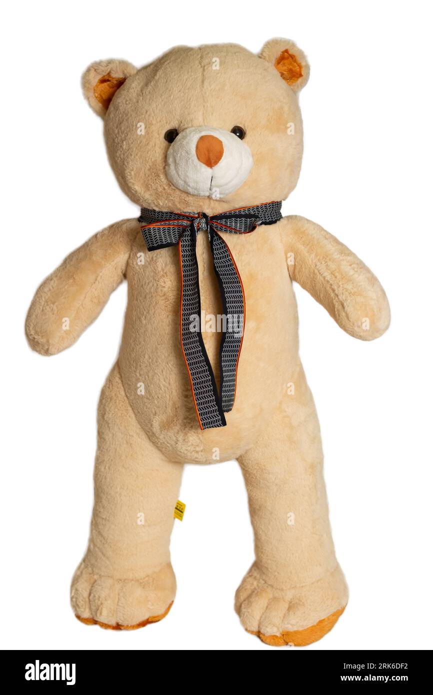A plush toy teddy bear isolated on a plain white background Stock Photo ...
