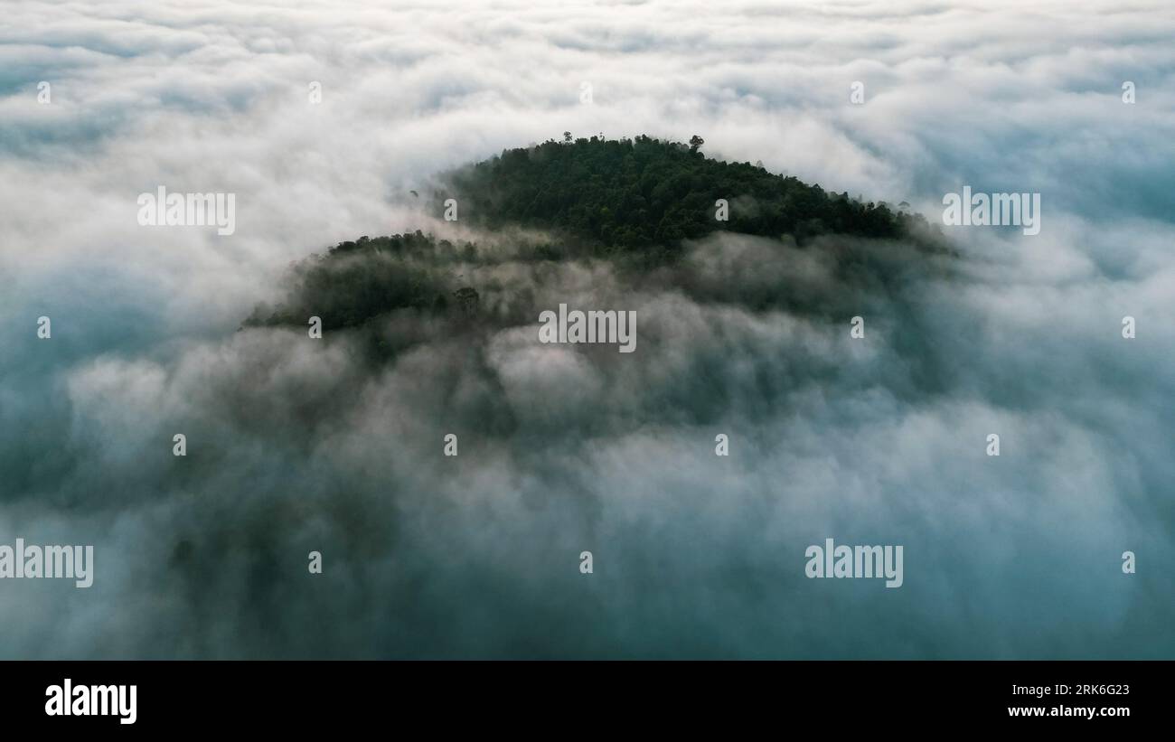 An aerial view of a mountain range covered with green forests in the ...