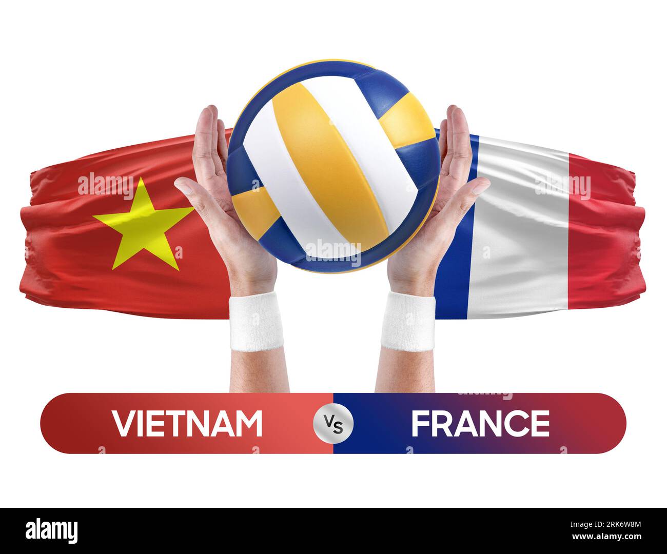 Vietnam vs France national teams volleyball volley ball match
