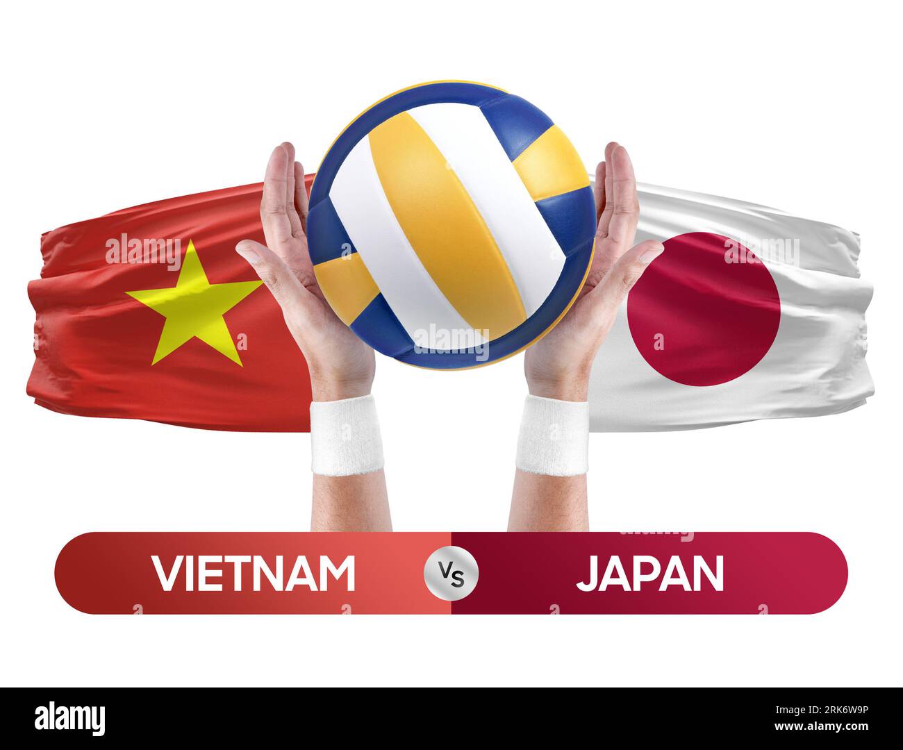 Vietnam vs Japan national teams volleyball volley ball match