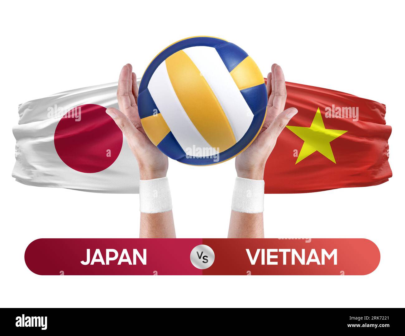 Japan vs Vietnam national teams volleyball volley ball match