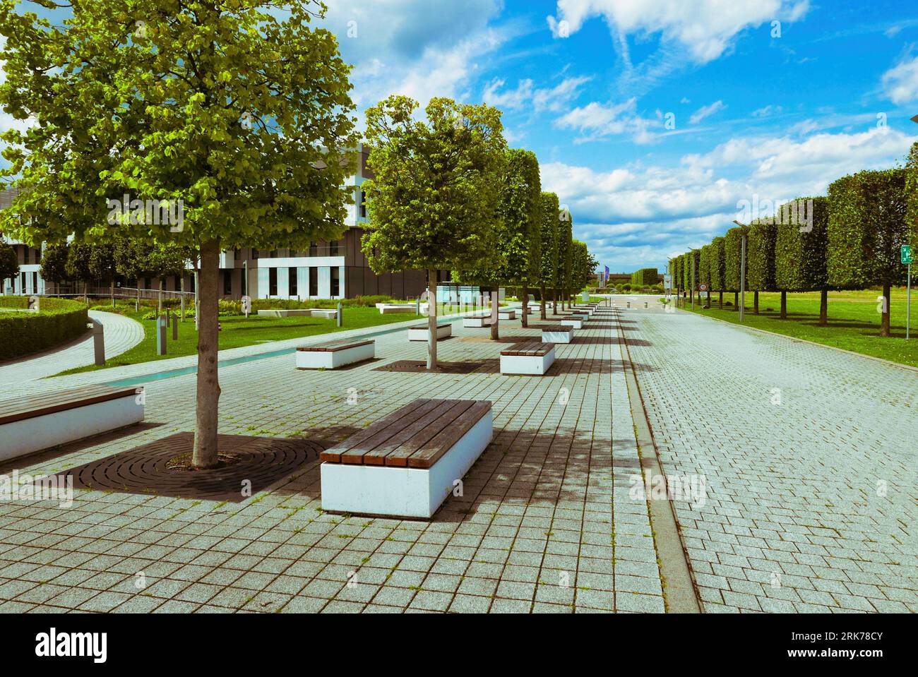 A scenic view of a pathway lined with neatly cut trees in a park in ...