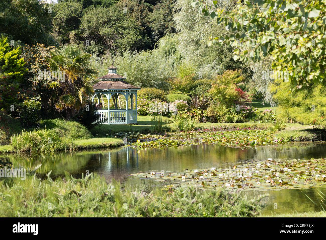 A view in Water Gardens, with water lily collections