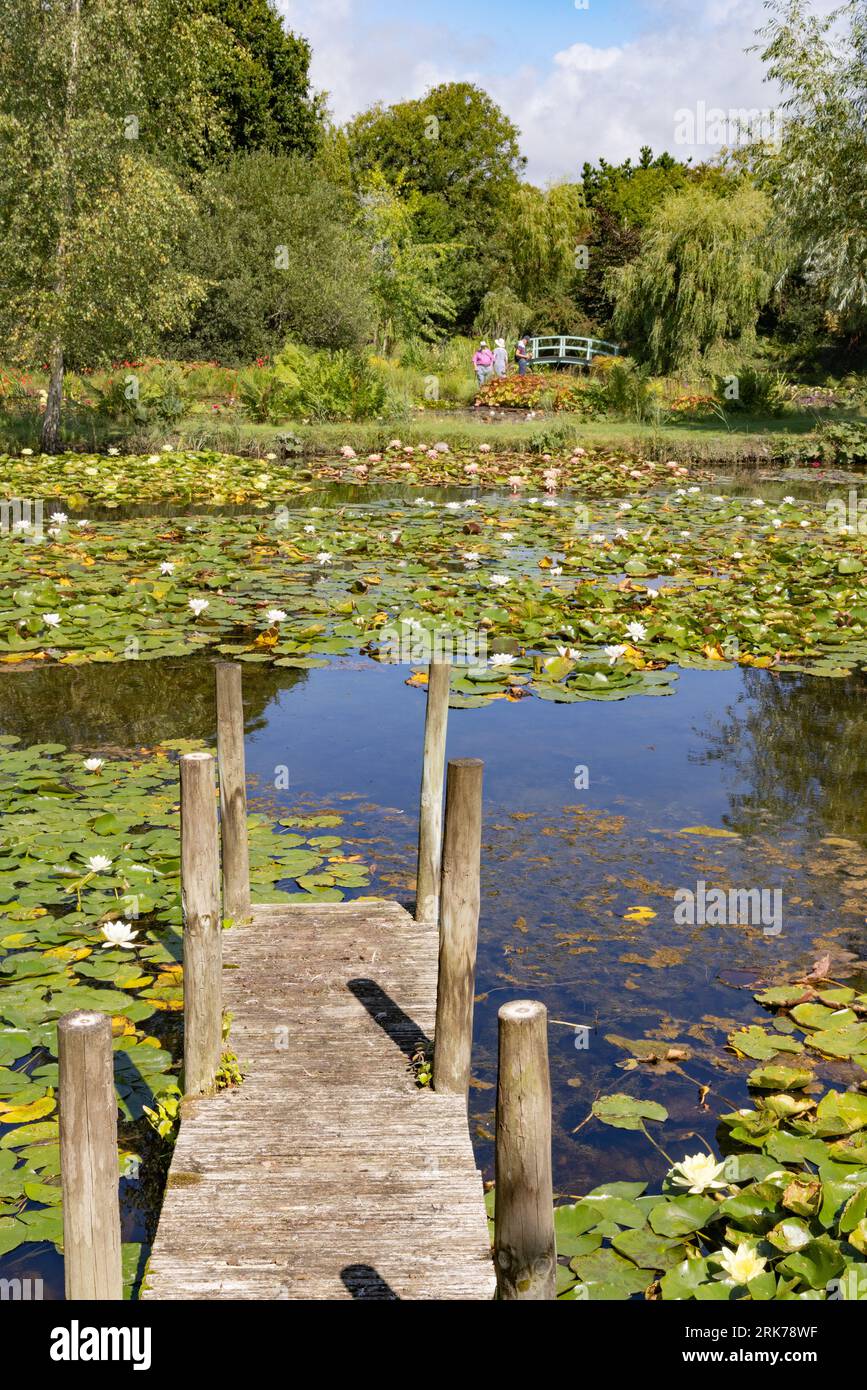 A view in Water Gardens, with water lily collections