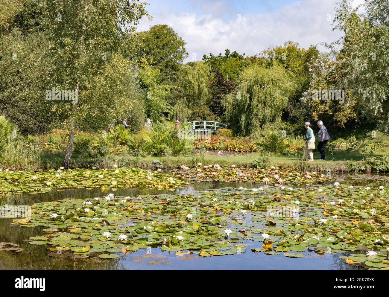 Visitors at Water Gardens, a water lily garden with several