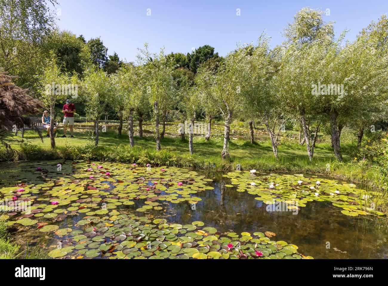 Tourists enjoying a sunny day in summer, Water Gardens