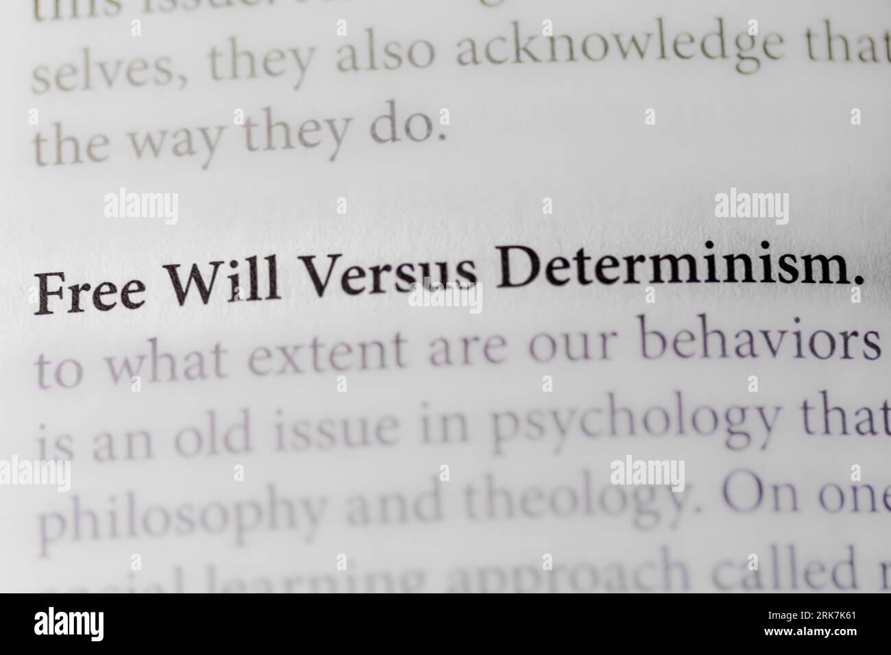 Free Will Determinism Philosophy