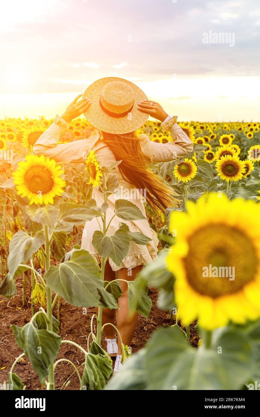Woman sunflower field. Happy girl in blue dress and straw hat posing in ...