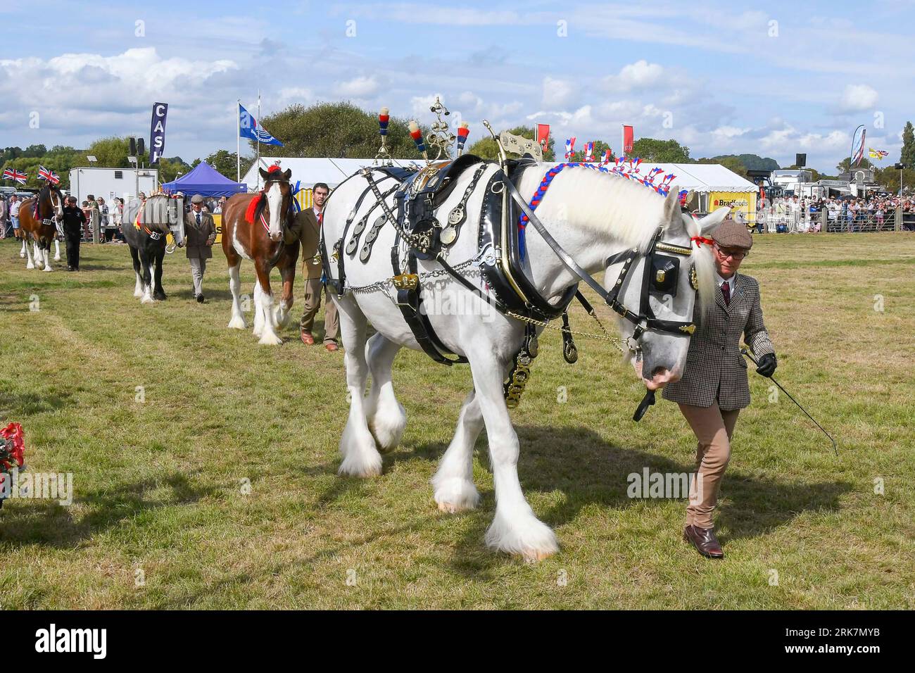West Bay, Dorset, UK. 24th August 2023. Heavy Horses in the Grand