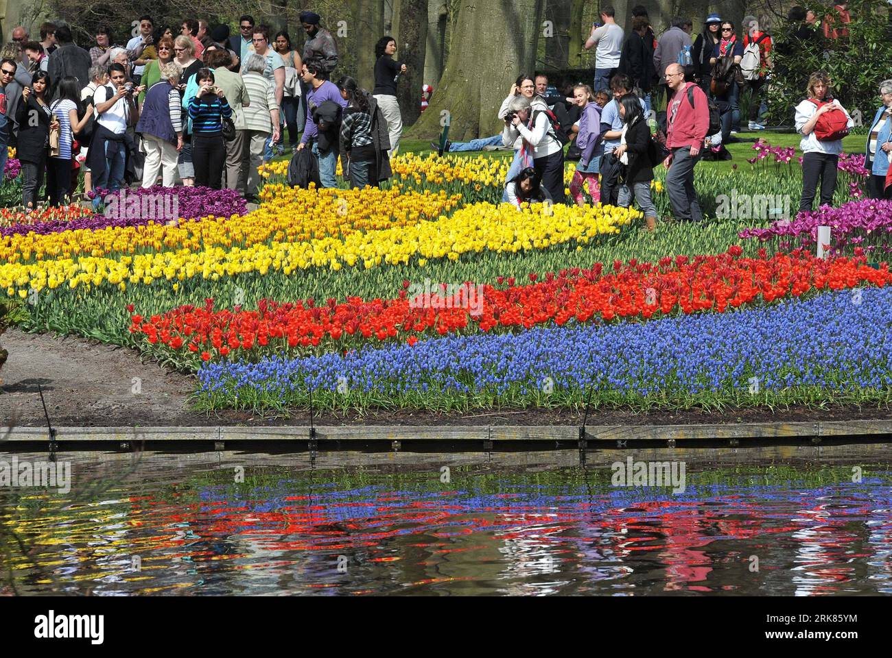 Keukenhof tulpengarten hires stock photography and images Alamy