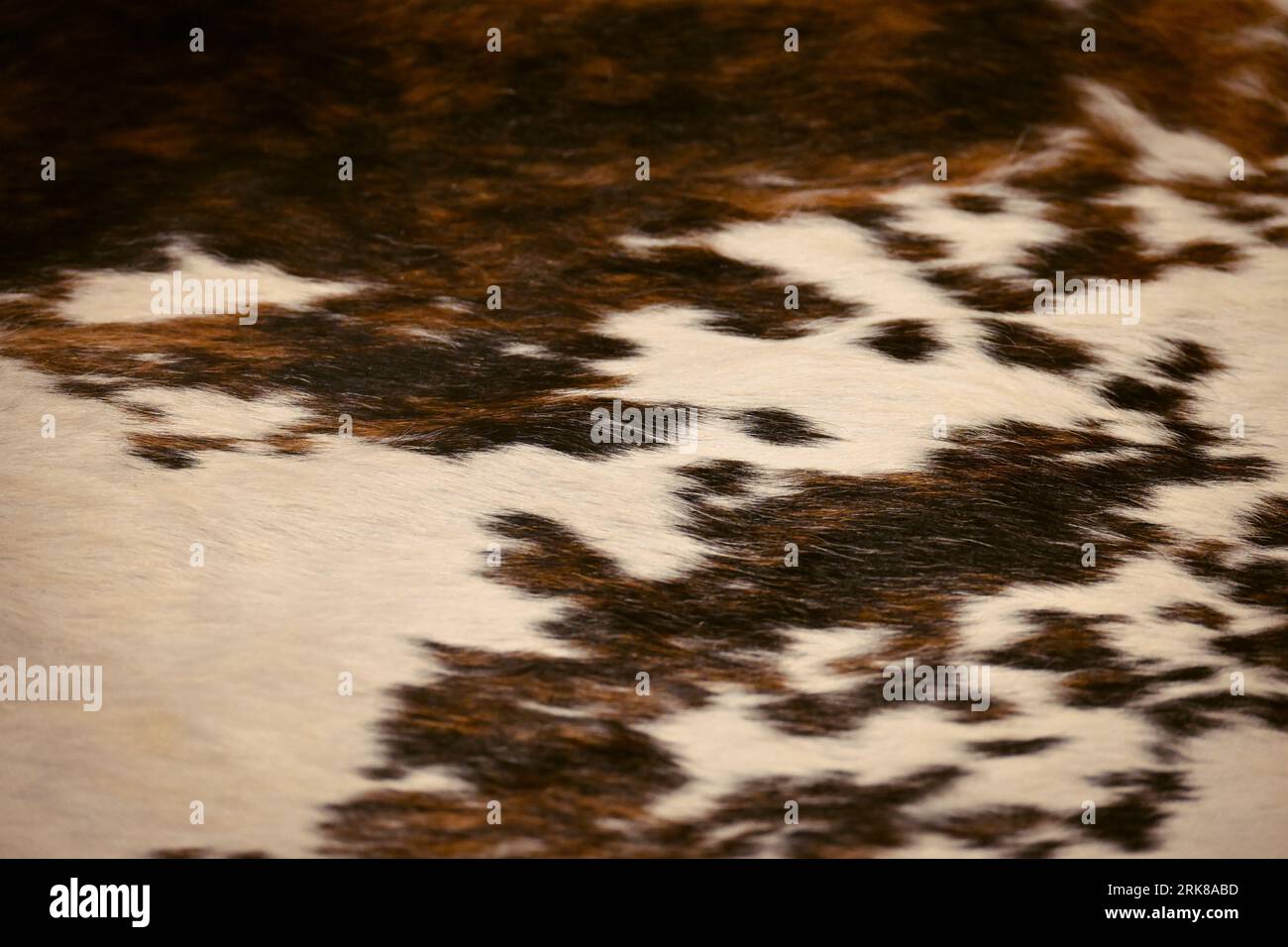 A cowhide pattern fabric, showcasing its unique texture and natural markings Stock Photo