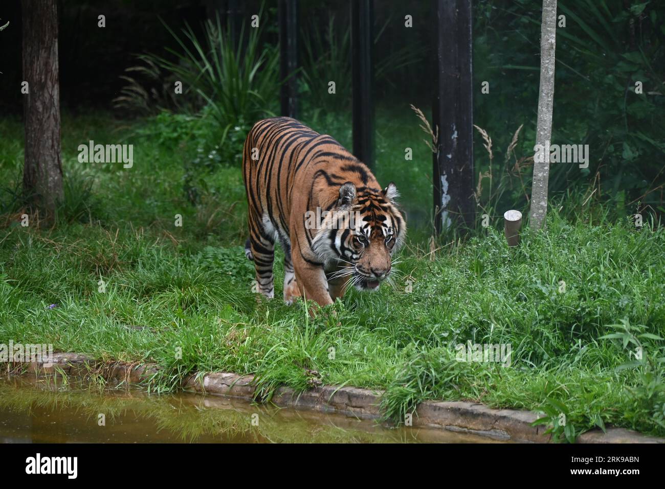 Zookeepers at the conservation zoos spend hours throughout the year