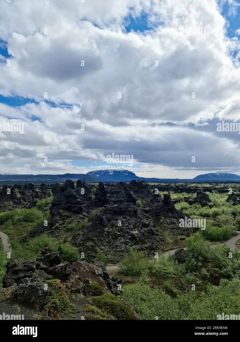 View Of The Lava Fields Of A Past Volcanic Eruption In Iceland Stock Photo