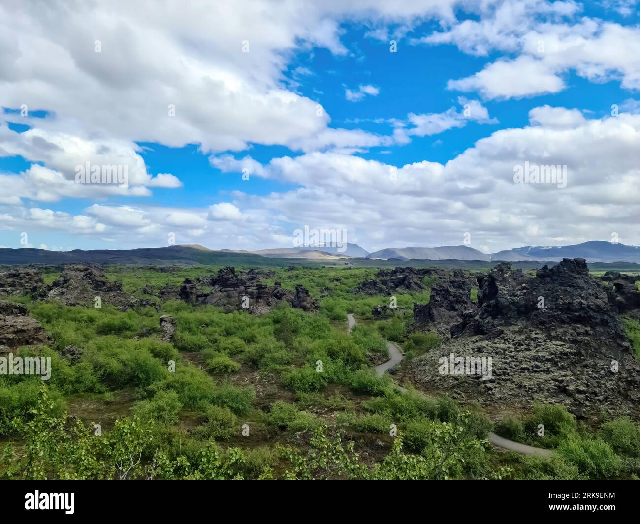 View Of The Lava Fields Of A Past Volcanic Eruption In Iceland Stock Photo