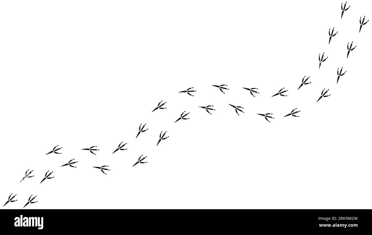 Path footprints of crow, raven, magpie, sparrow, dove, bird. Crow paw