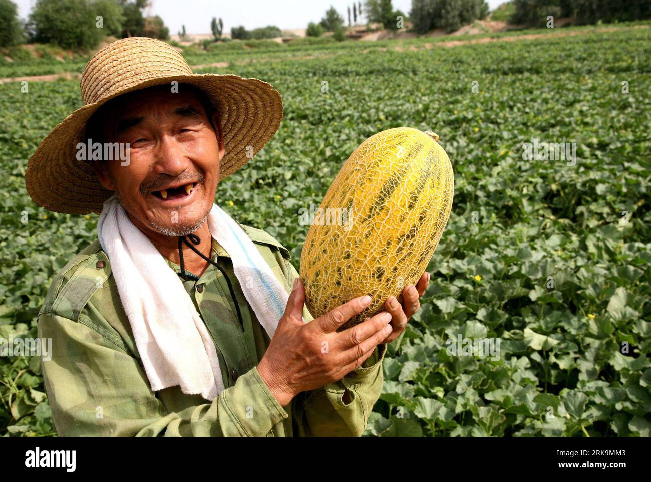 Bildnummer: 54213000  Datum: 06.07.2010  Copyright: imago/Xinhua (100707) -- HAMI, July 7, 2010 (Xinhua) -- A farmer harvests Hami melons, a popular cantaloupe in Xinjiang,at Nanhu Township in Hami, northwest China s Xinjiang Uygur Autonomous Region, July 6, 2010. . (Xinhua/Cai Zengle) (wqq) (CN) PUBLICATIONxNOTxINxCHN Gesellschaft Wirtschaft Landwirtschaft Arbeitswelten Bauern Feldarbeit Ernte Land und Leute kbdig xdp 2010 quer o0 Melone Melonen Melonenernte    Bildnummer 54213000 Date 06 07 2010 Copyright Imago XINHUA  Hami July 7 2010 XINHUA a Farmer Harvests Hami melons a Popular Cantaloup Stock Photo