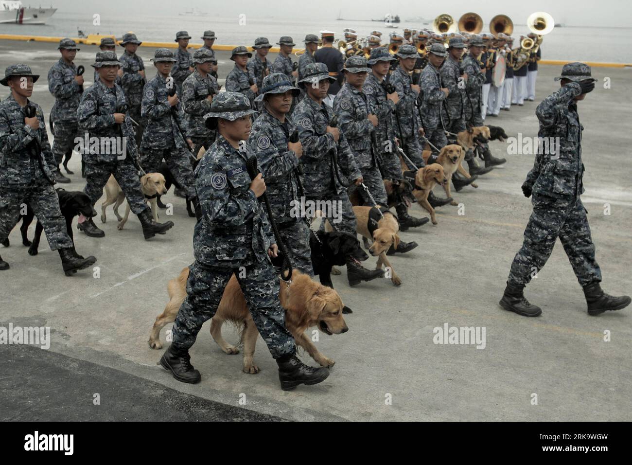 Philippine dogs hires stock photography and images Alamy