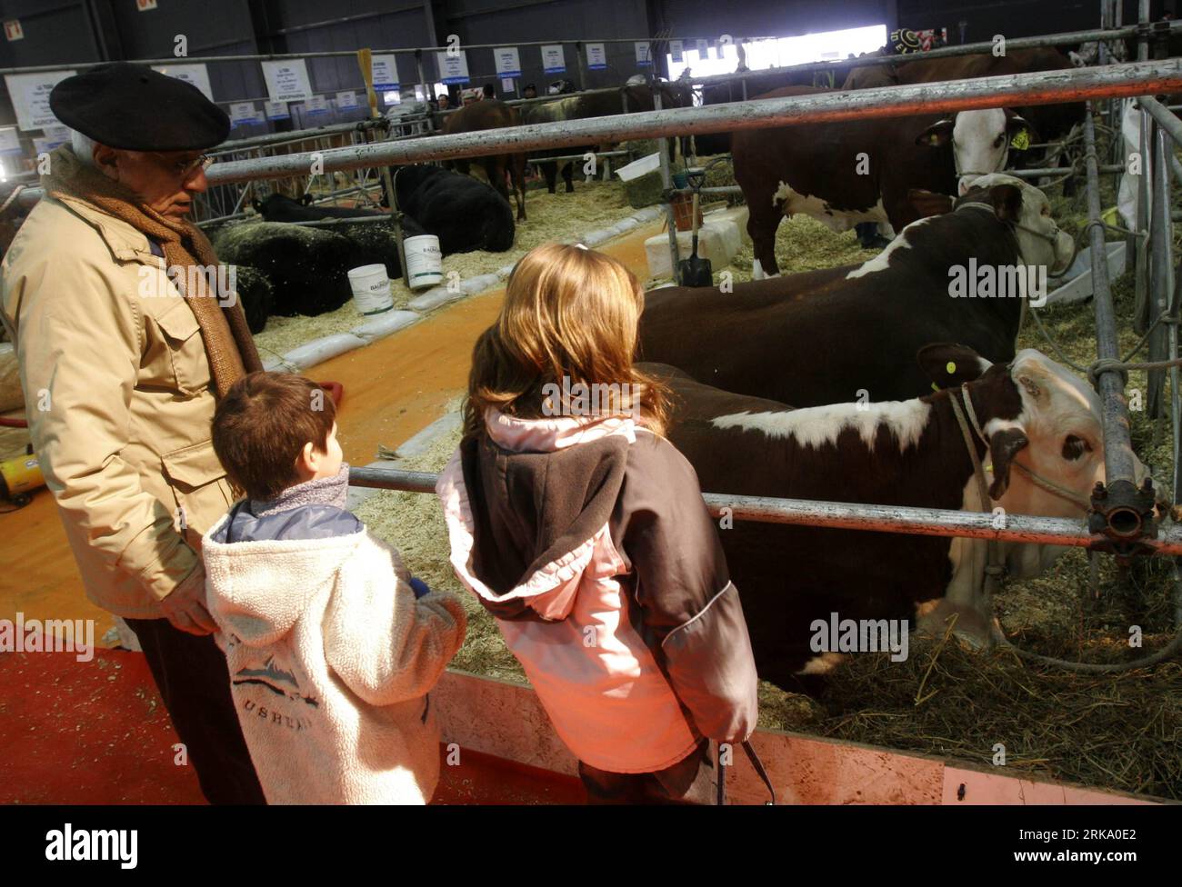 Bildnummer: 54249463  Datum: 23.07.2010  Copyright: imago/Xinhua (100723) -- BUENOS AIRES, July 23, 2010 (Xinhua) -- Visitors look at the cattle at the 124th edition of the Agriculture, Livestock and Industry Fair in Buenos Aires, Argentina, July 23, 2010. Some 4,000 livestocks from 450 Argentine farms were on show in the fair. (Xinhua/Luciano Thieberger) (zw) (4)ARGENTINA-BUENOS AIRES-AGRICULTURE-LIVESTOCK-FAIR PUBLICATIONxNOTxINxCHN Wirtschaft Messe Landwirtschaftsmesse Landwirtschaft Premiumd xint kbdig xub 2010 quer o0 Kalb, Kuh, Tiere    Bildnummer 54249463 Date 23 07 2010 Copyright Imago Stock Photo