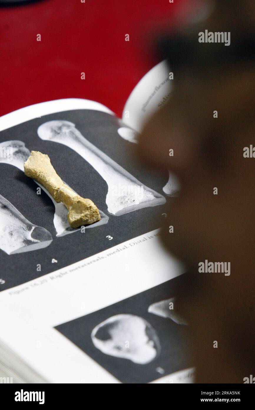 Bildnummer 54275019 Datum 04.08.2010 Copyright imago/Xinhua (100804