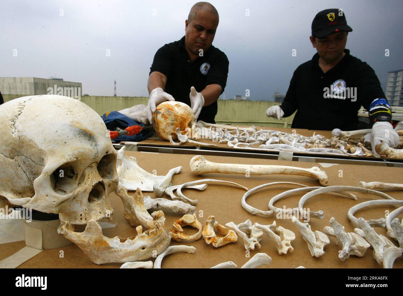 Bildnummer: 54276893  Datum: 05.08.2010  Copyright: imago/Xinhua (100805) -- QUEZON CITY, Aug. 5, 2010 (Xinhua) -- Forensic experts study the skeletal remains of the victims of the capsized M/V Princess of the Stars at the Public Affairs Office in Quezon City, the Philippines, August 5, 2010. , the Philippine ferry M/V Princess of the Stars sank off Romblon province in central Philippines after being hit by a ferocious typhoon. Only 42 passengers out of 747 aboard the ferry were rescued. Less than 100 remains had been retrieved since the sinking.(Xinhua/Rouelle Umali)(zl) THE PHILIPPINES-QUEZO Stock Photo