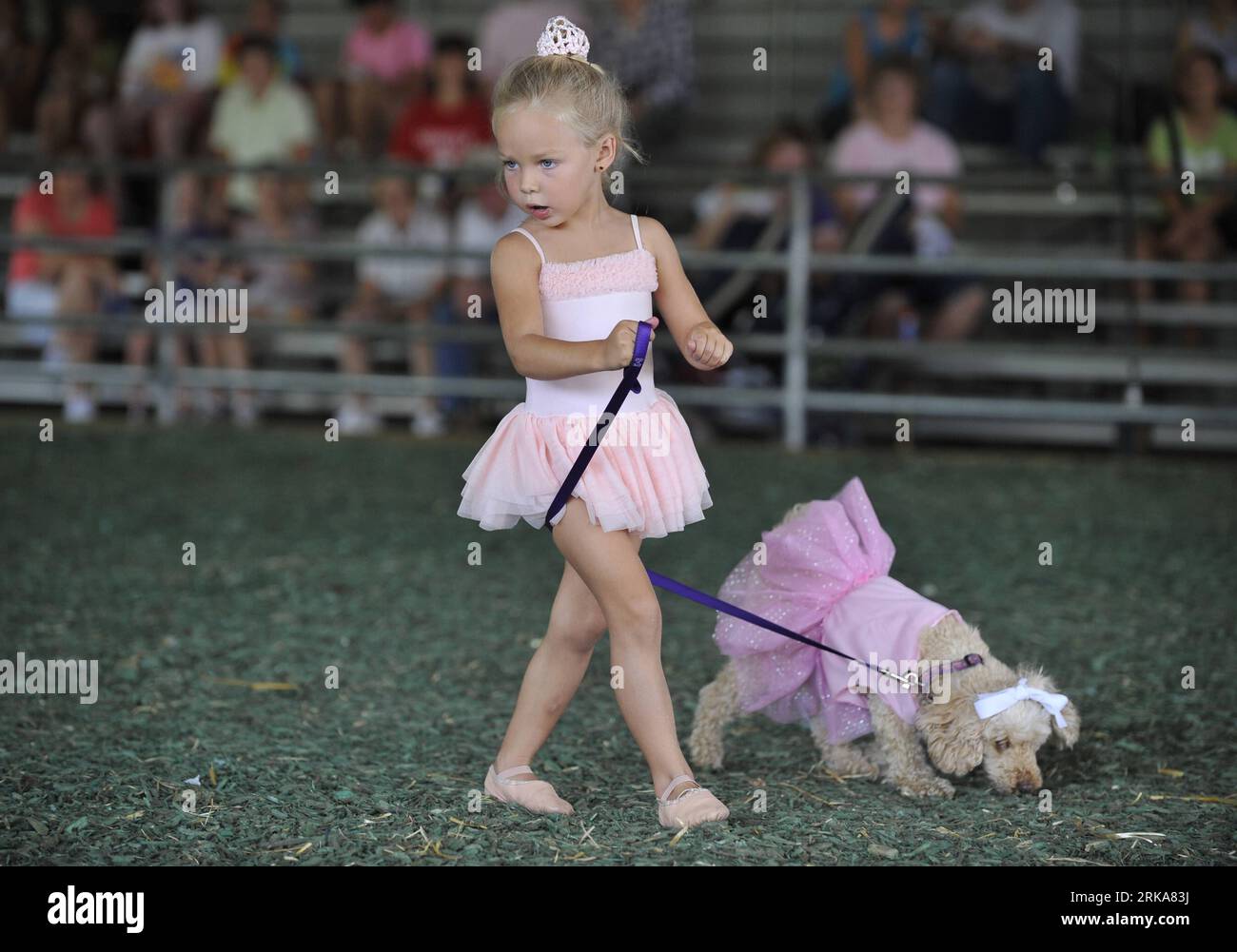 Bildnummer: 54283750  Datum: 08.08.2010  Copyright: imago/Xinhua A girl leads her pet dog during the pretty animal contest at the annual Howard County Fair in West Friendship, Maryland, the United States, Aug. 8, 2010. (Xinhua/Zhang Jun) (msq) U.S.-MARYLAND-PRETTY ANIMAL CONTEST PUBLICATIONxNOTxINxCHN Gesellschaft Messe Landwirtschaft Landwirtschaftsmesse Tiere Wettbewerb Schönheitswettbewerb Kinder Personen kurios Komik kbdig xng 2010 quer Highlight premiumd xint    Bildnummer 54283750 Date 08 08 2010 Copyright Imago XINHUA a Girl leads her Pet Dog during The Pretty Animal Contest AT The Annu Stock Photo