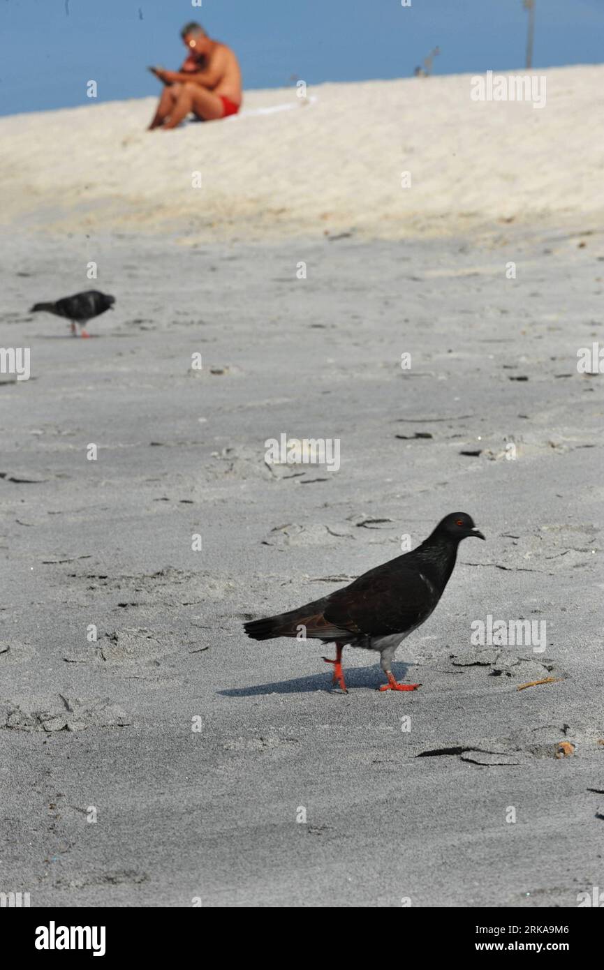 Bureau de casting hi-res stock photography and images - Alamy