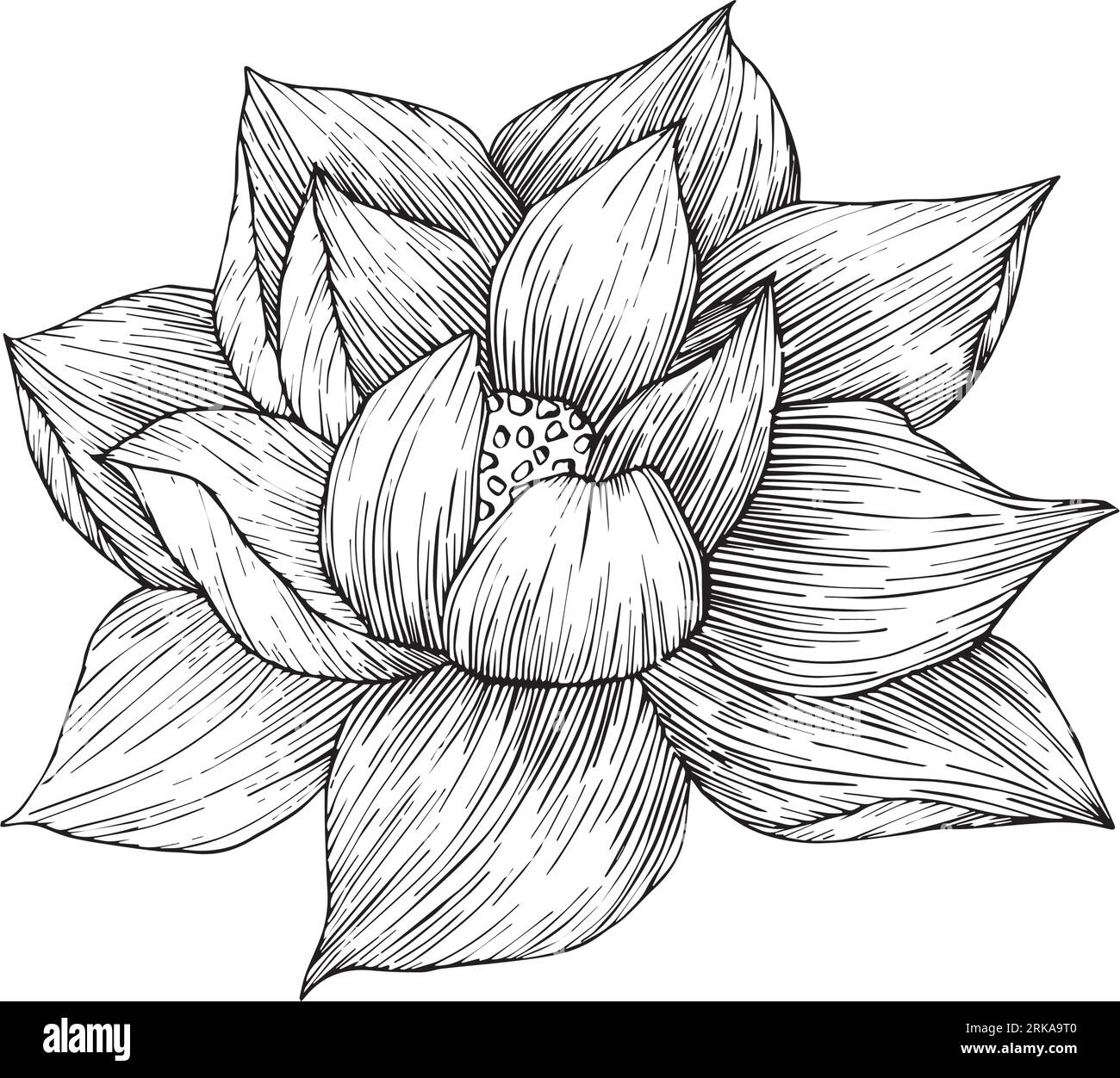 How To Draw A Lotus Flower | Easy Draw For Kids-saigonsouth.com.vn