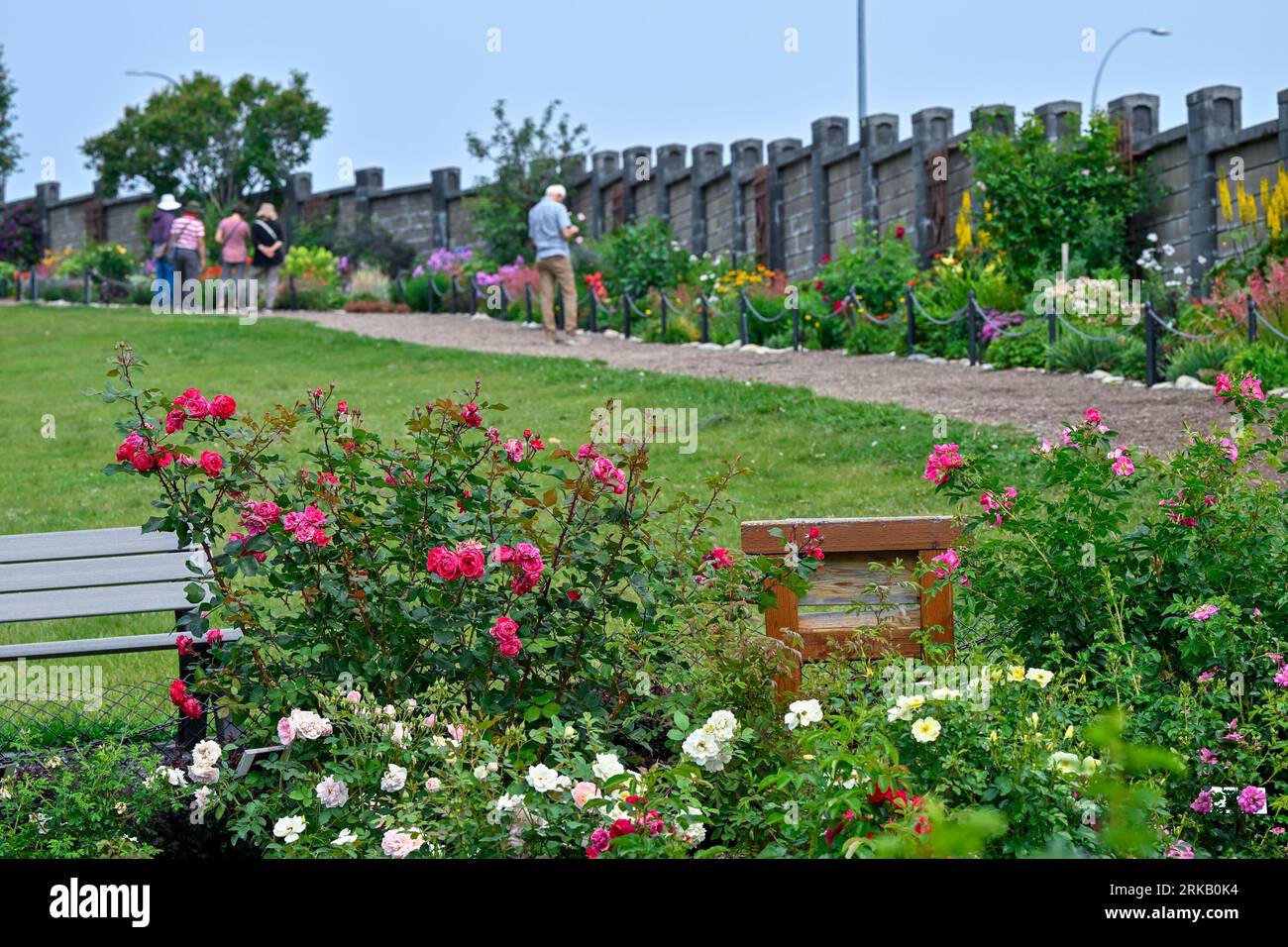 Rose garden, Botanical Gardens of Silver Springs, Calgary, Alberta