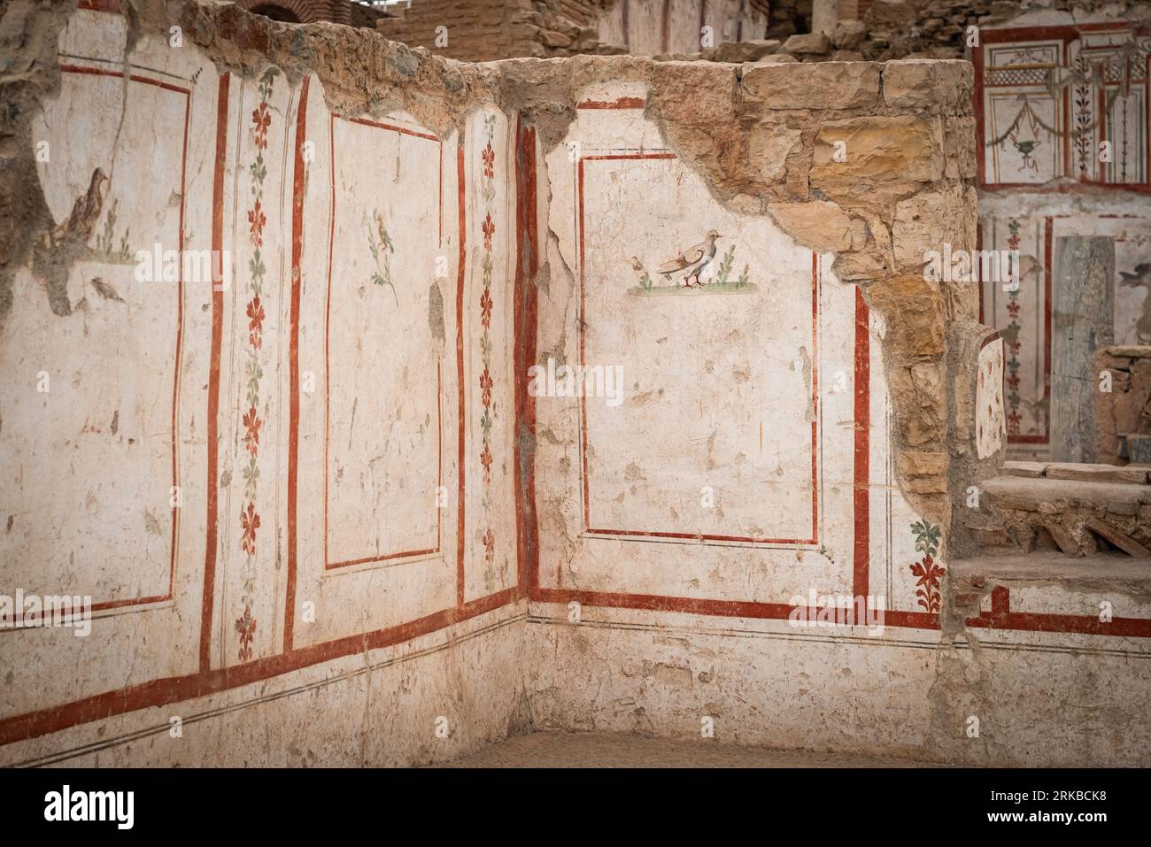 Interior decoration details of Terrace Houses in Ephesus Ancient City. Izmir, Turkey Stock Photo