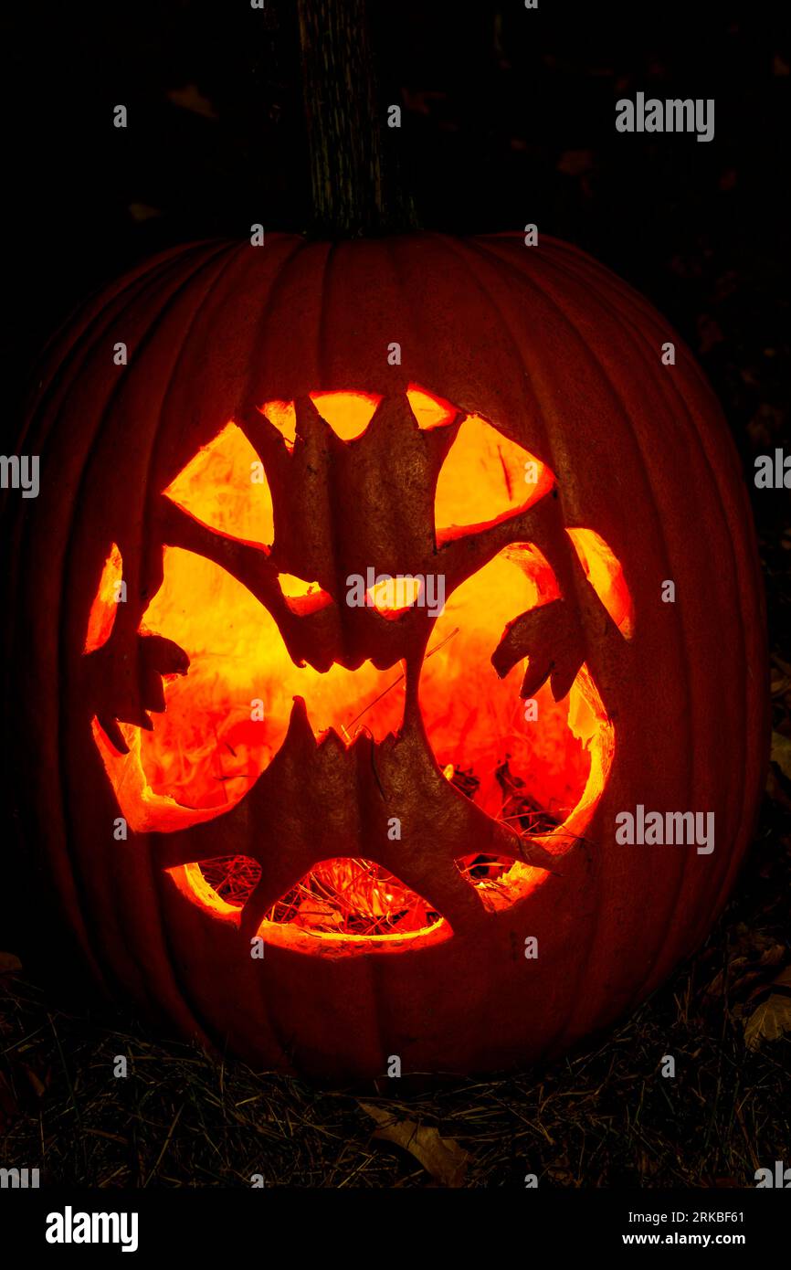 Haunted Tree. Halloween theme carved pumpkin. The Stoddard Avenue Pumpkin Glow. Dayton, Ohio, USA. Stock Photo