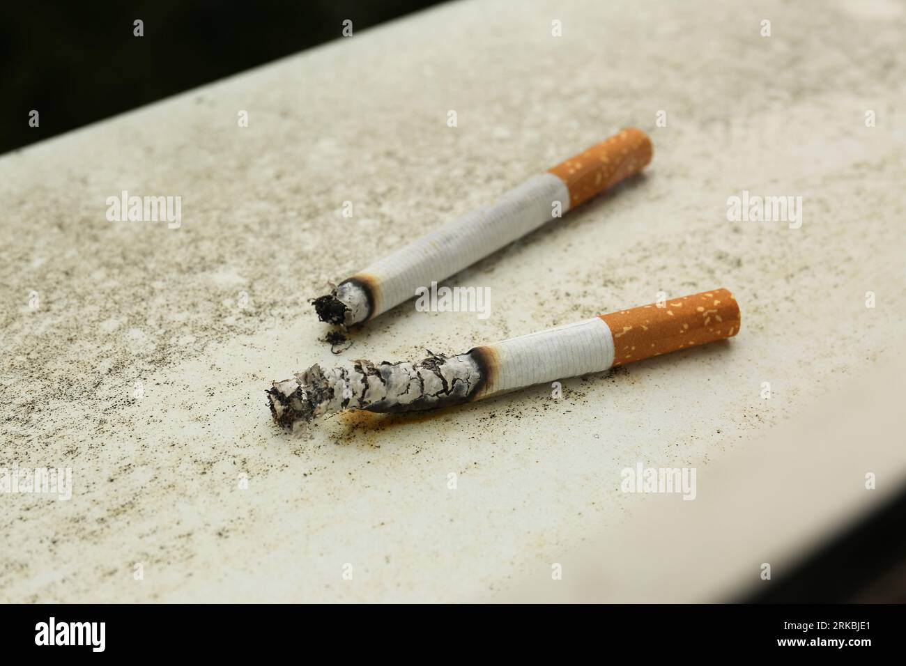 how to get a tobacco license B3 License Guide for Tobacco Manufacturing