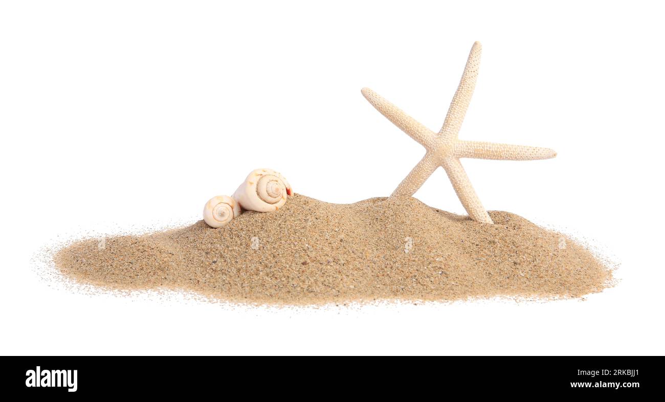 Star Shell Ocean Beautiful sea star, shells and sand isolated on white Stock Photo - Alamy