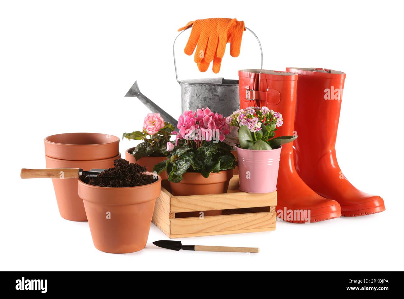 Beautiful flowers, pots, rubber boots and gardening tools isolated on ...