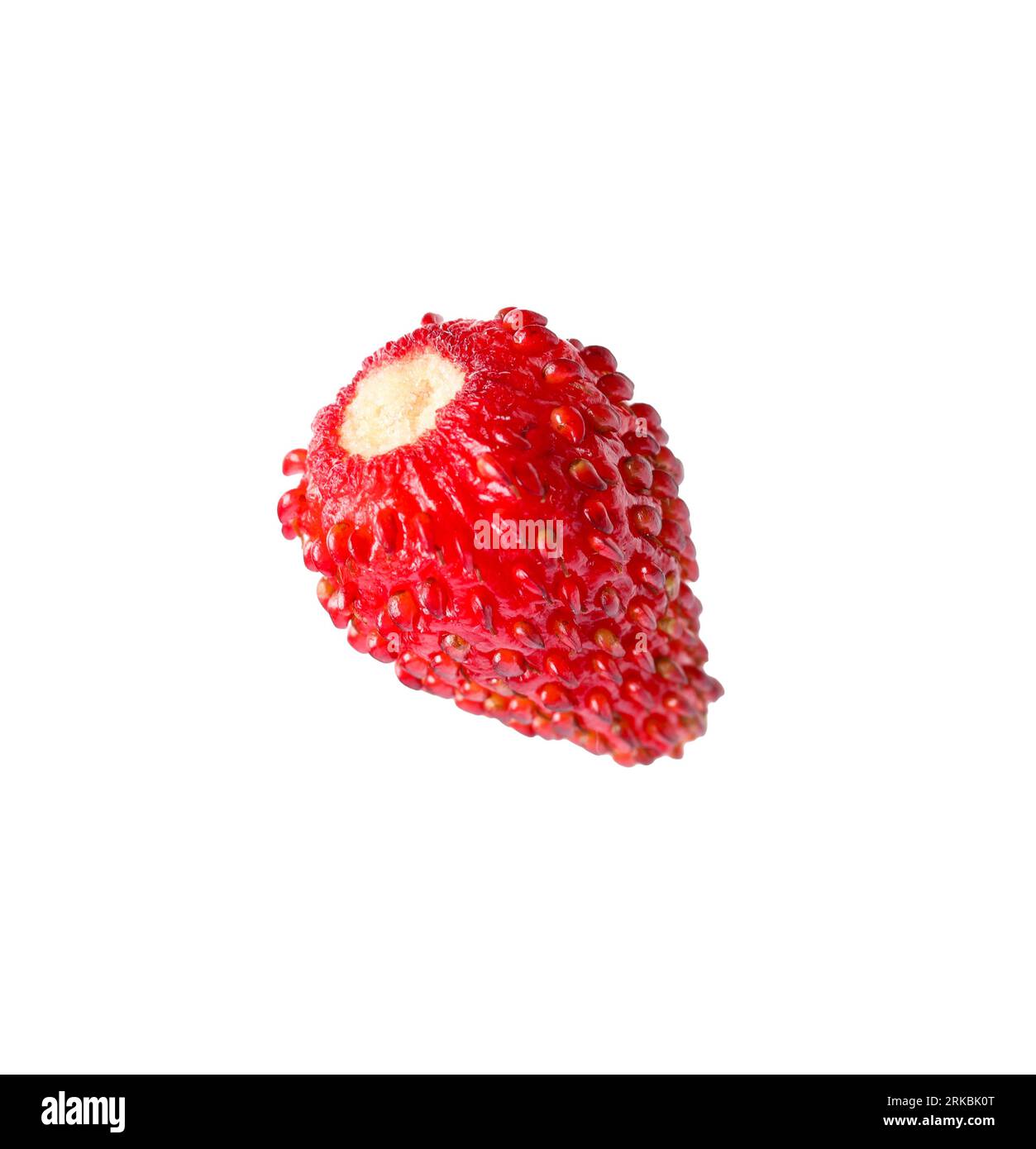 One ripe wild strawberry isolated on white Stock Photo - Alamy
