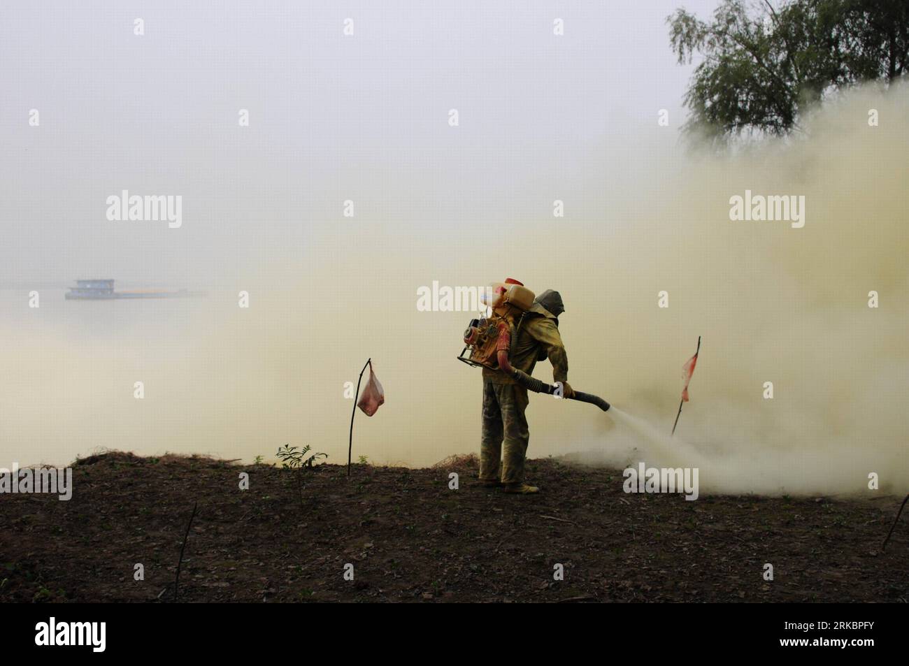 Oncomelania hi-res stock photography and images - Alamy