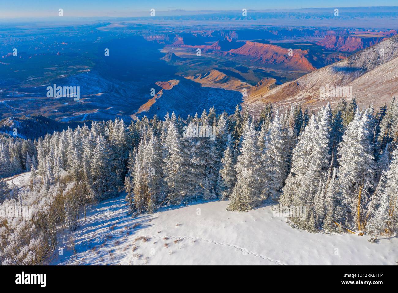 Frosted trees and desert below, Manti-La Sal National Forest, Utah, Colorado River Canyons near Moab Stock Photo
